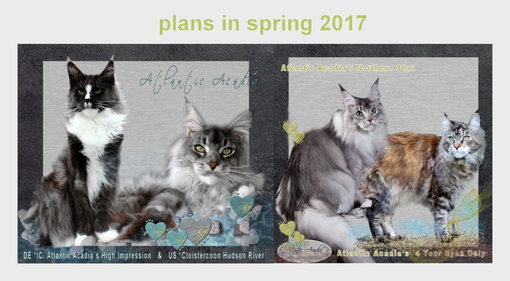 plans-2017