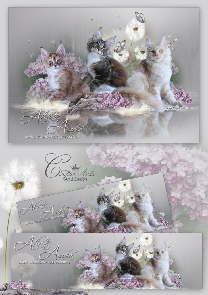 Confetti collage 04_2020
